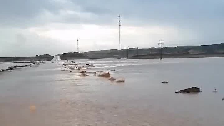 صورة موضوعية 
