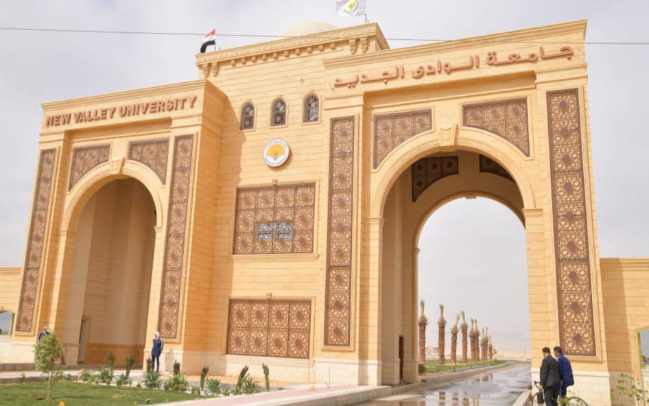 جامعة الوادي الجديد