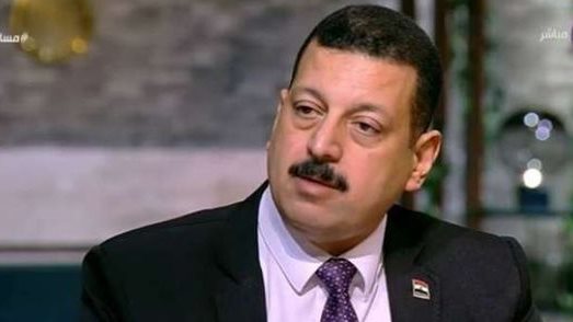 أيمن حمزة المتحدث باسم وزارة الكهرباء أيمن حمزة المتحدث باسم وزارة الكهرباء