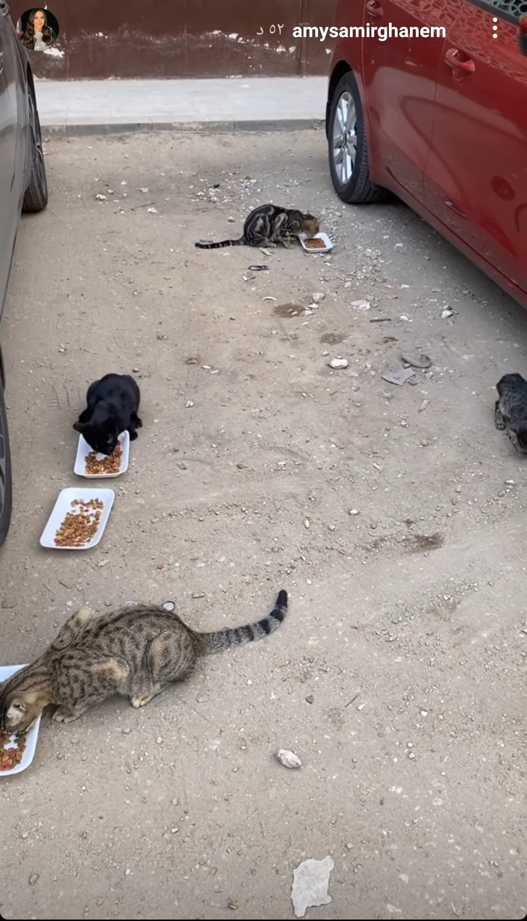 IMG_٢٠٢١١١١٤_١٦٠٥١٤