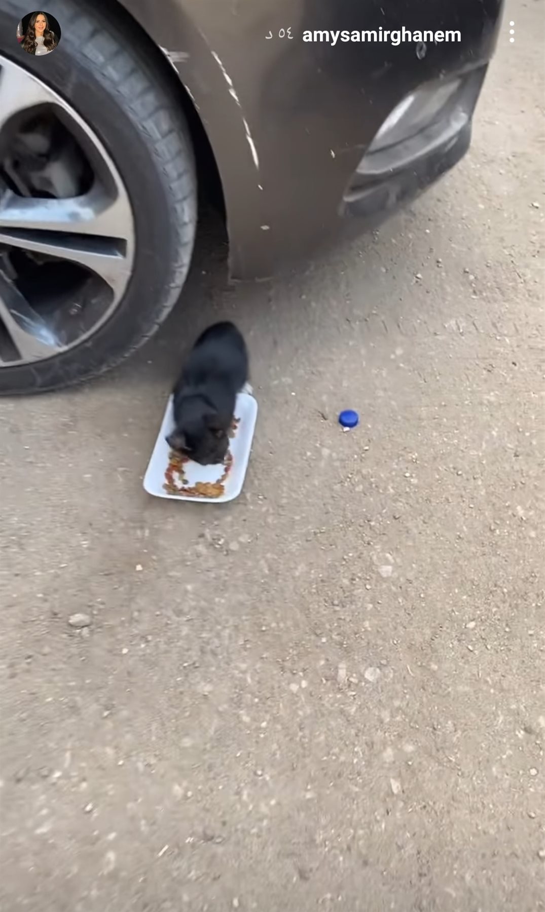 IMG_٢٠٢١١١١٤_١٦٠٥٣٦