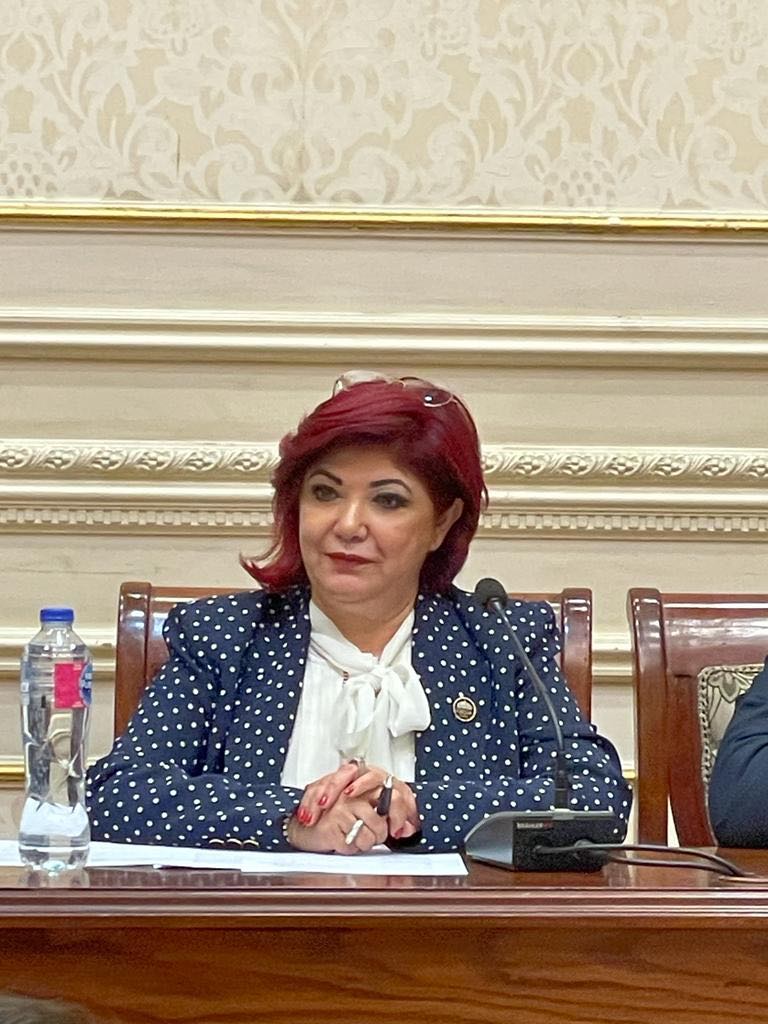 النائبة نورا على