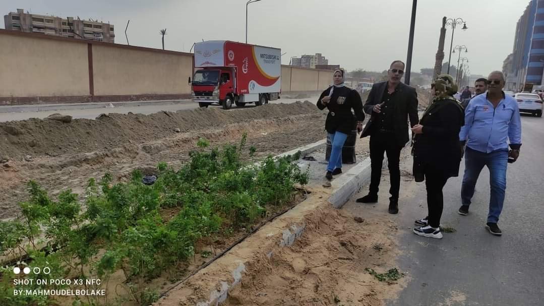  زرع الجزيرة الوسطى بشارع ٢٣ ديسمبر 