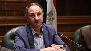 النائب مجدي ملك عضو مجلس النواب 