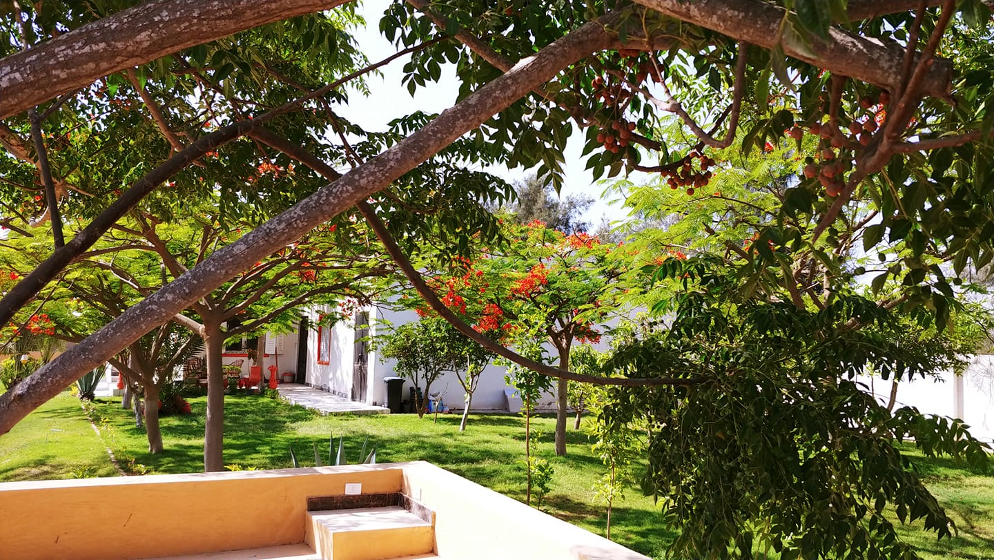 بيت التلمساني