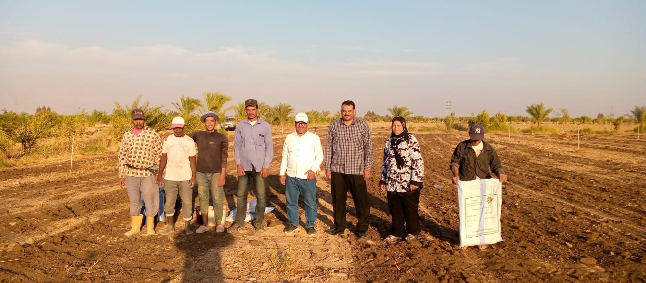 مركز بحوث الصحراء