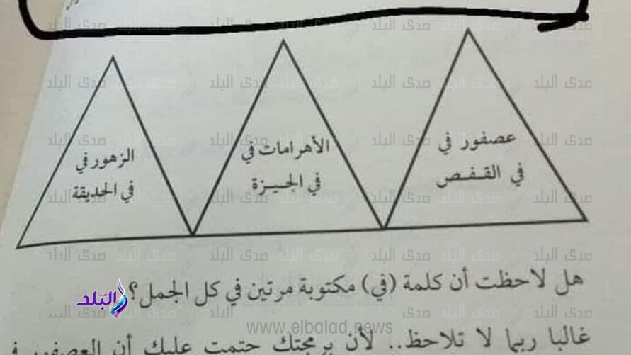 الصورة المتداولة