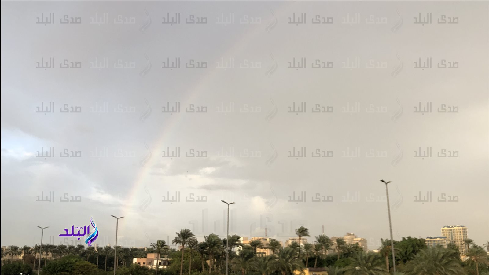 الامطار