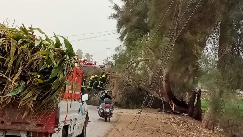 رجال الحماية المدنية بالفيوم يرفعون الاشجار من الطرق
