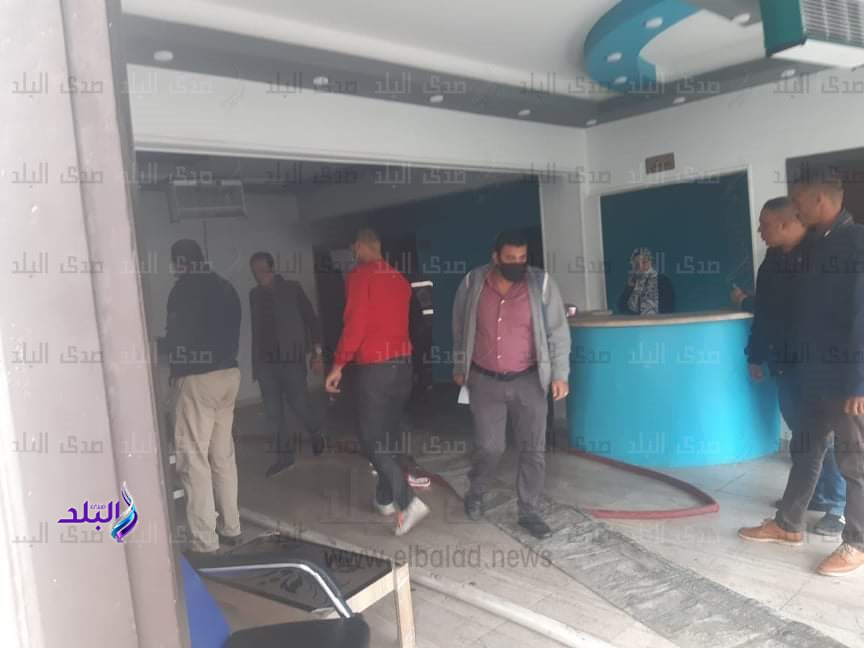 d036f48e-040c-4f47-ad50-3b52f0ac9280