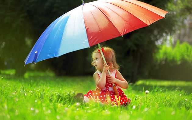 الشمسية الصيفية