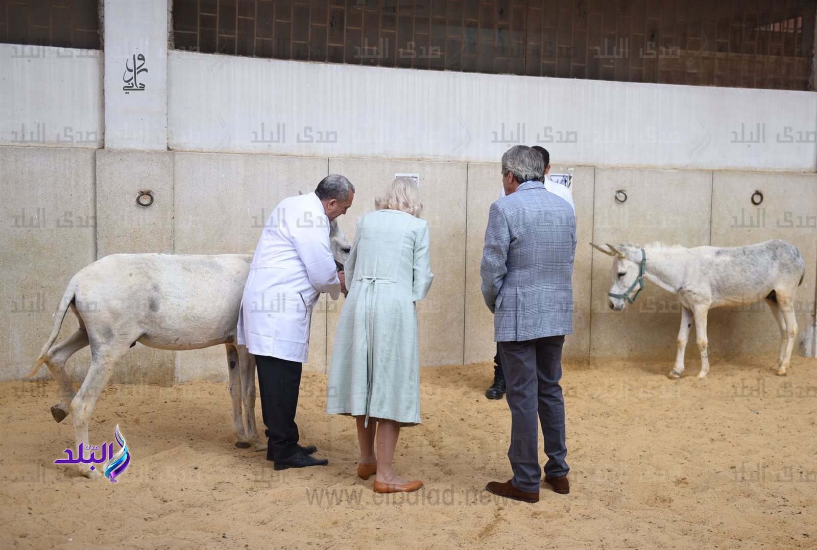 من زيارة الدوقة كاميلا لمستشفى بروك الخيري بالسيدة زينب (2)