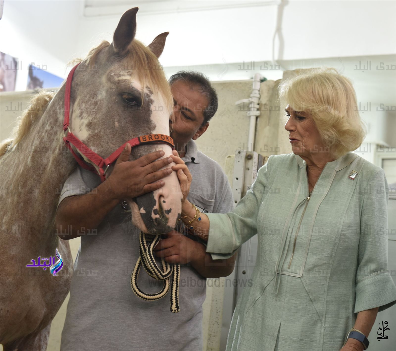 من زيارة الدوقة كاميلا لمستشفى بروك الخيري بالسيدة زينب (4)