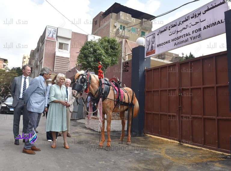 من زيارة الدوقة كاميلا لمستشفى بروك الخيري بالسيدة زينب (6)