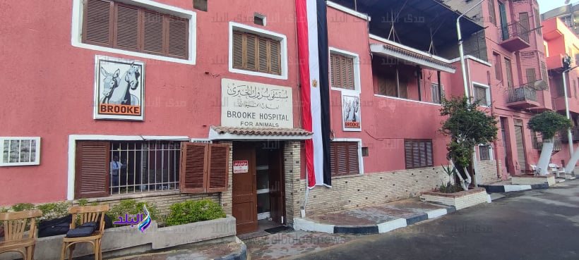 من زيارة الدوقة كاميلا لمستشفى بروك الخيري بالسيدة زينب (12)