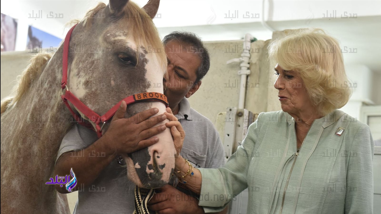 الدوقة كاميلا في مستشفى بروك