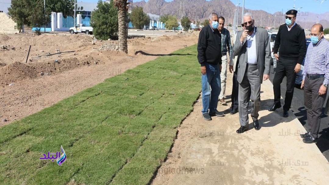 فودة يتابع اعمال التشجير 