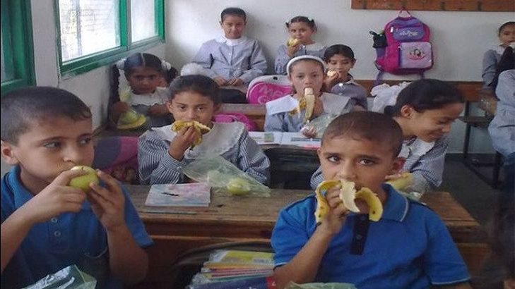 التغذية المدرسية 