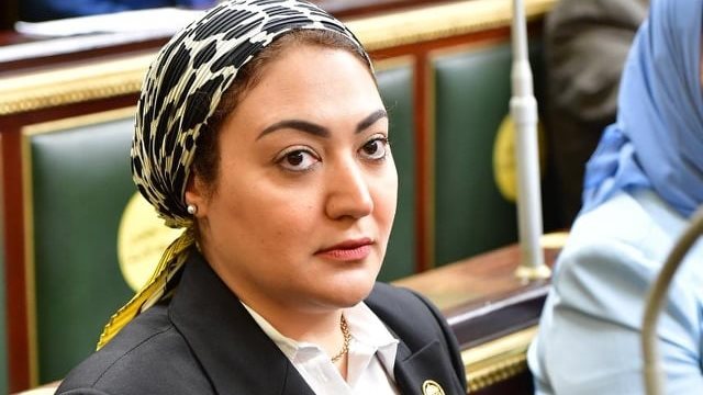  أسماء الجمال عضو لجنة العلاقات الخارجية بمجلس النواب 