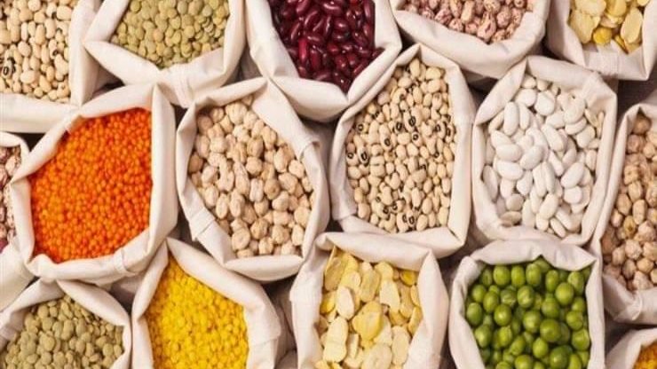 بقوليات