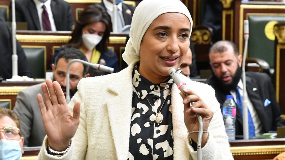  النائبة أميرة ابوشقة