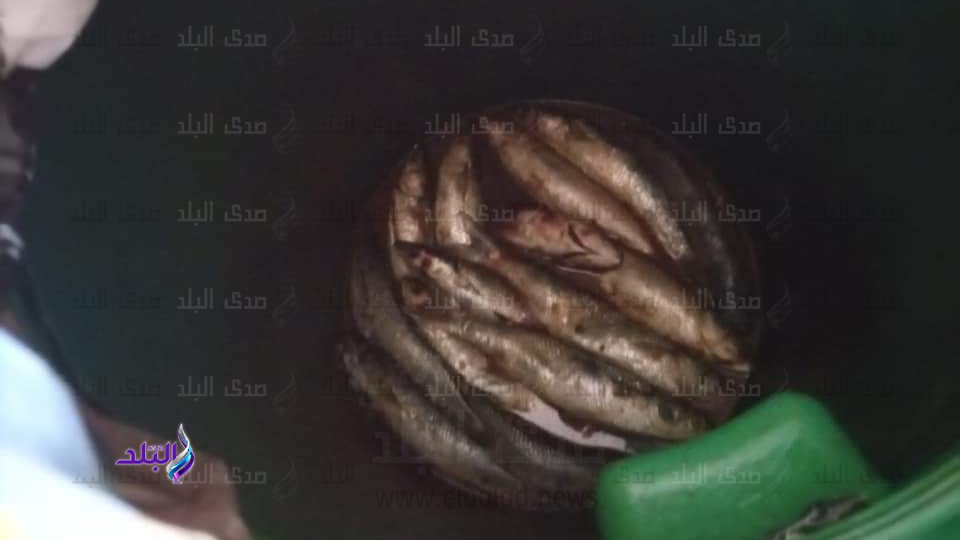 جانب من المضبوطات