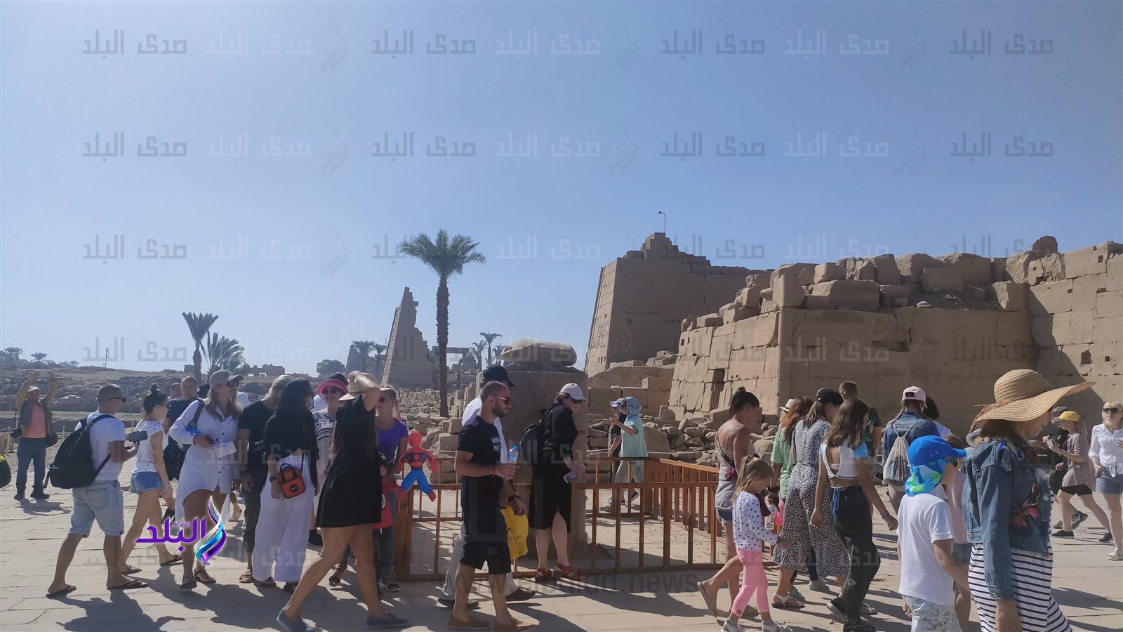 الدوران حول الجعران فى الأقصر