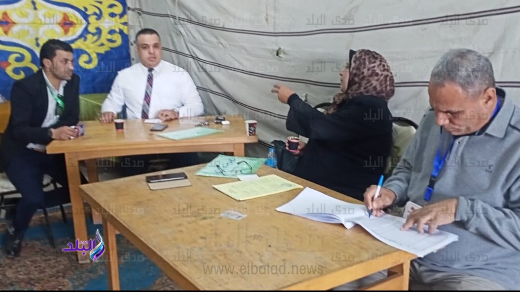 انتخابات دسوق