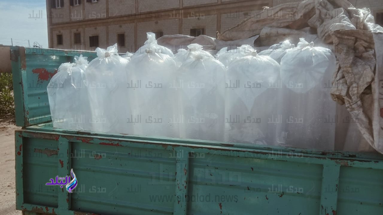 ضبط زريعة أسماك
