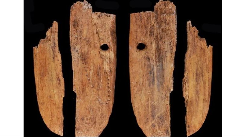 بقايا عظم قديم