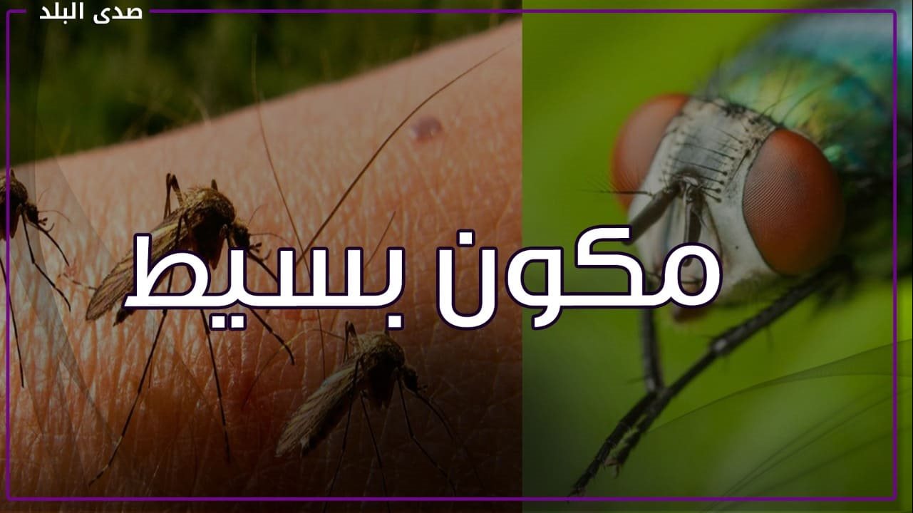 كيف تتخلص من الناموس