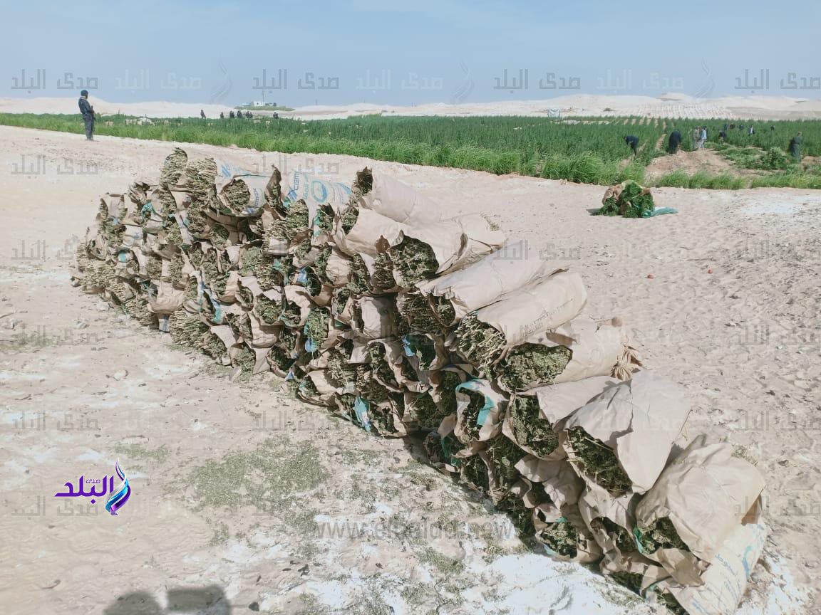 6688c8d1-d970-4f0a-abd6-1841361235c0