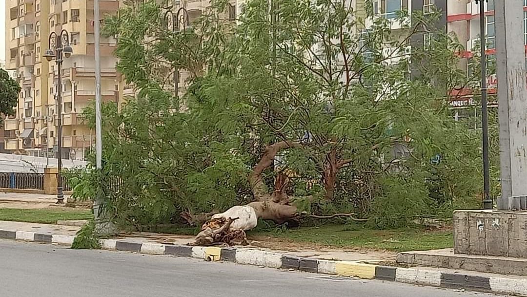 موجة من الطقس السيء بالإسماعيلية 