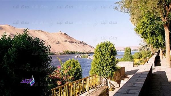 حديقة النباتات فى أسوان