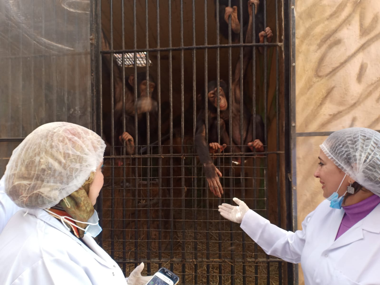 مراجعة اشتراطات تطبيق الآمن والآمان الحيوى فى مراكز إيواء 