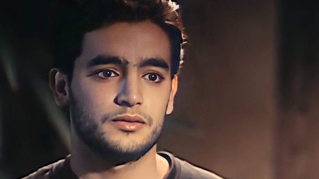 هانى سلامة