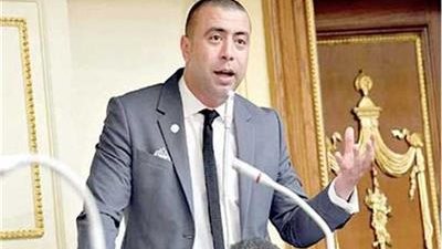 أحمد بهاء شلبى، عضو مجلس النواب