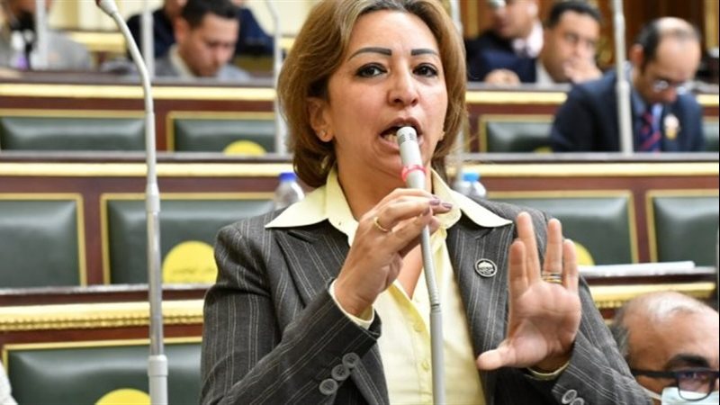 النائبة مها عبدالناصر عضو مجلس النواب 