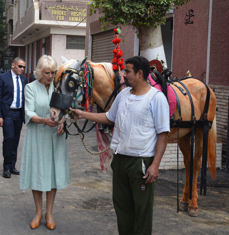 257940611_372907191281896_8918662996216226354_n