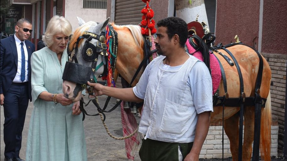 الدوقة كاميلا بمستشفى بروك بالسيدة زينب