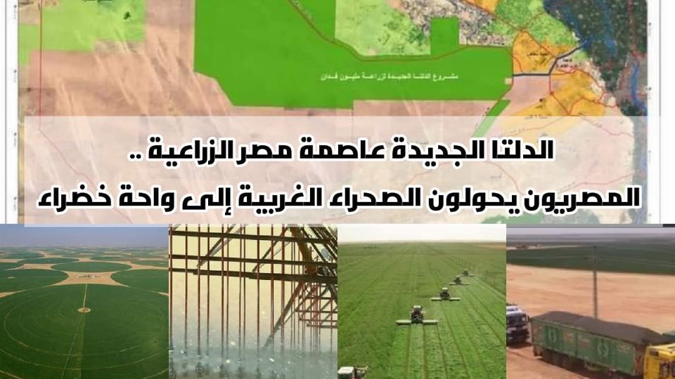 مشروع الدلتا الجديدة