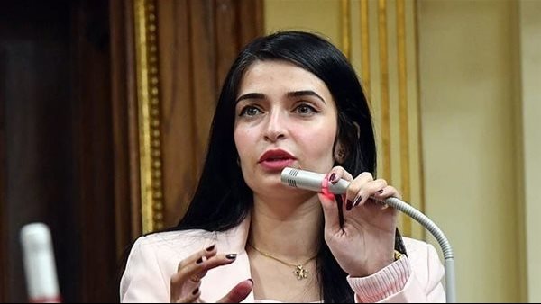 النائبة إيرين سعيد ، عضو لجنة الصحة بالبرلمان 