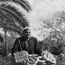 بائع سميط ودُقة