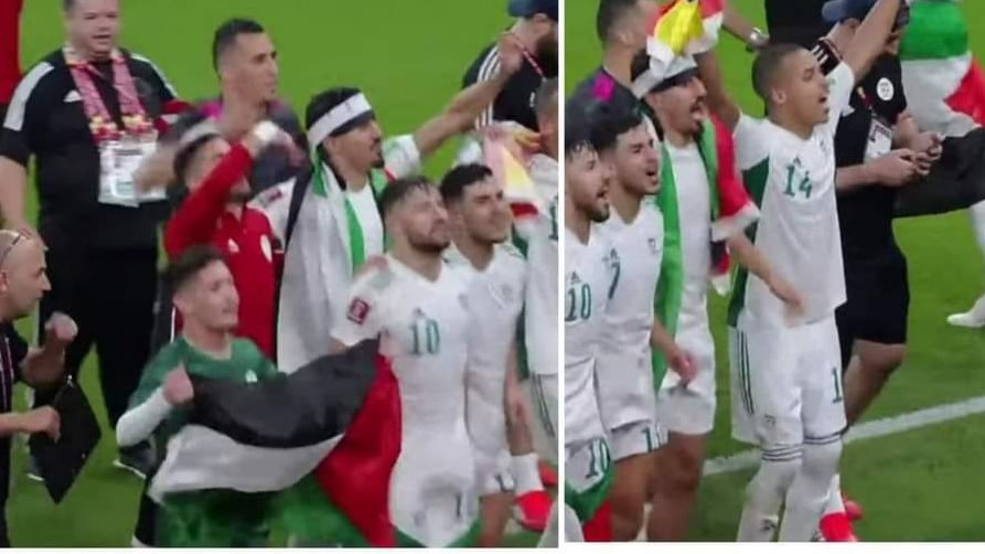 احتفالات منتخب الجزائر