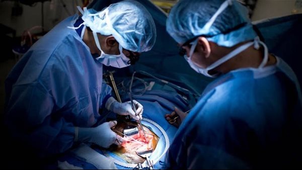 الأعضاء البشرية