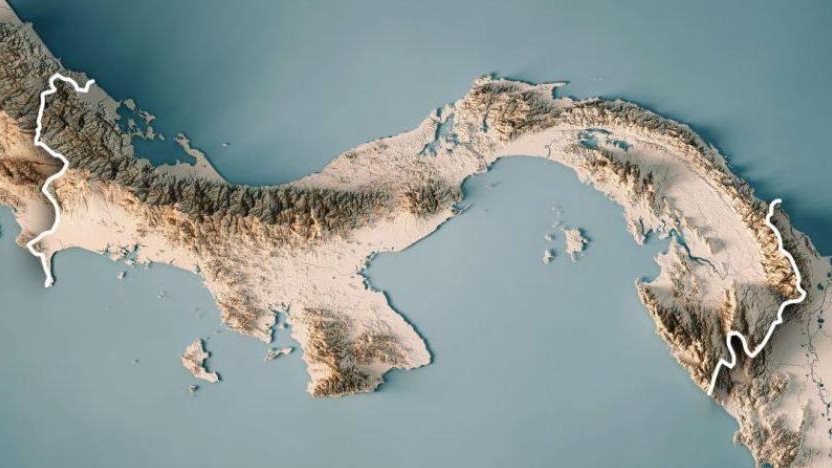 الجزر