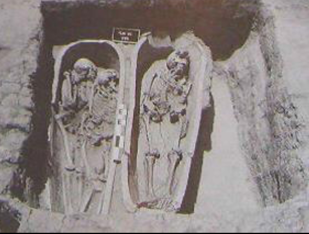 جزء من اكتشافات تل كوم الخلجان جزء من اكتشافات تل كوم الخلجان