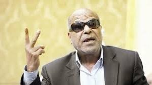 البدرى فرغلى