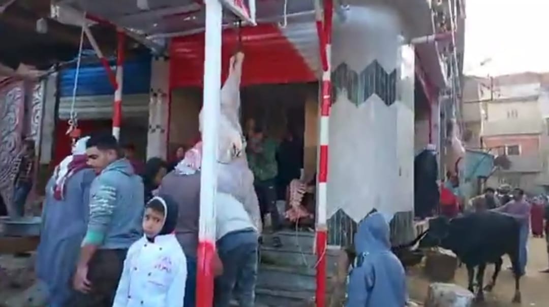 صورة أرشيفية