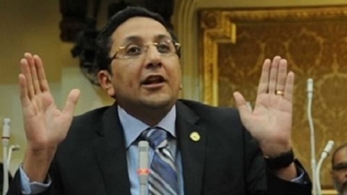 د. ايهاب رمزي، عضو مجلس النواب